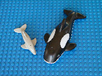 schwarzer Weißfleck-Delphin
